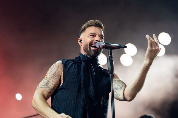 Filhos de Ricky Martin surpreendem cantor em show na Suíça