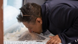 Zé Neto & Cristiano estreiam no top 10 global e impulsionam o sertanejo