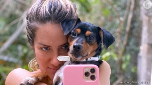 Grávida, Gio Ewbank mostra barriga em foto de biquíni com pet:'Carnaval intenso'