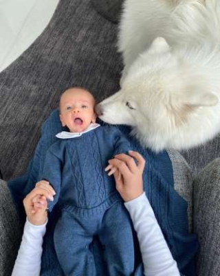 Romana Novais faz foto do filho com pet e destaca relação: 'Tinha receio'